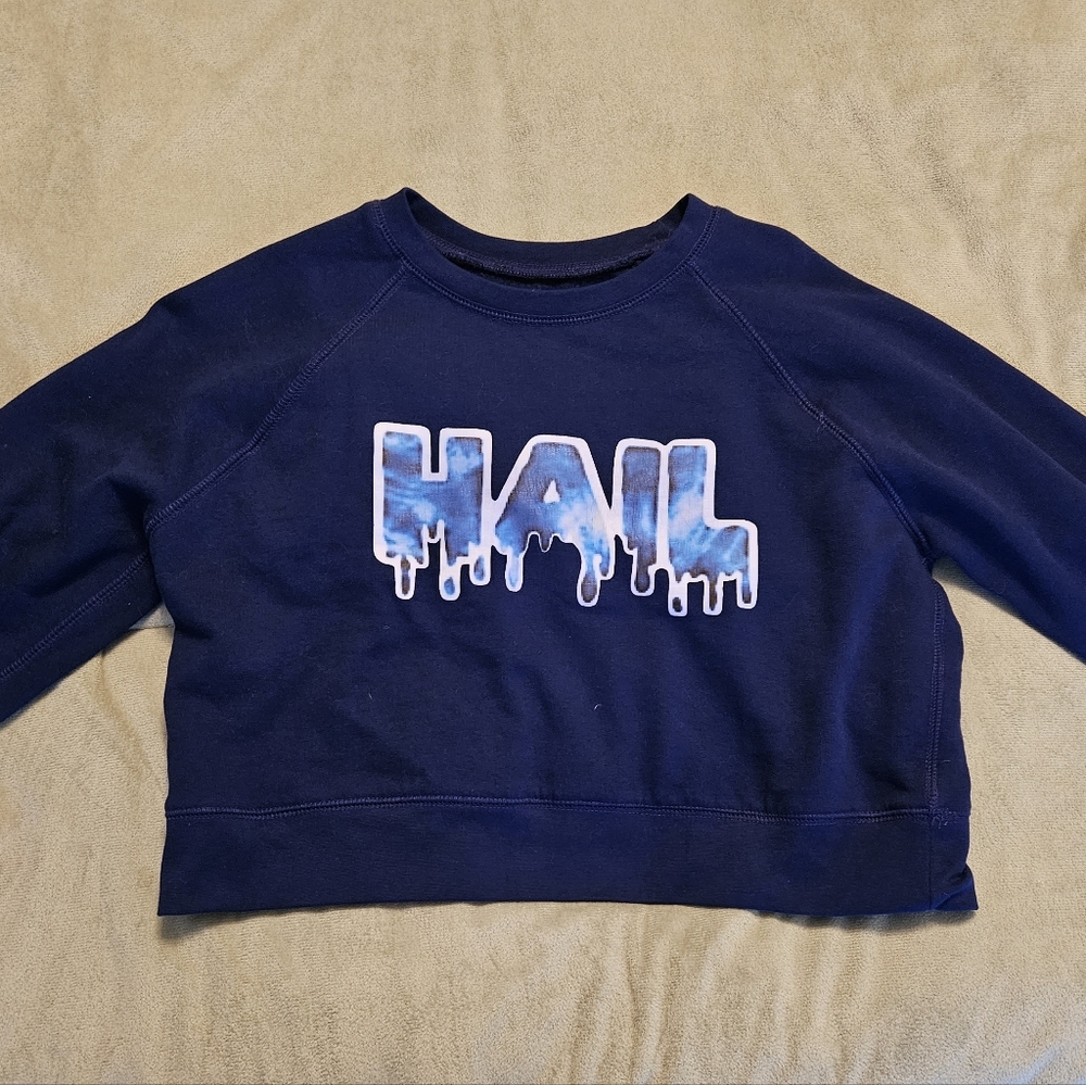Hail, UofM cropped sweater top